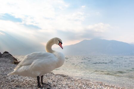 Valutazione sulla stagione turistica