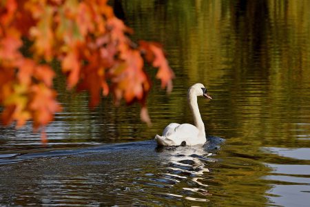 Ottobre: una buona mesata grazie ad eventi e bel tempo